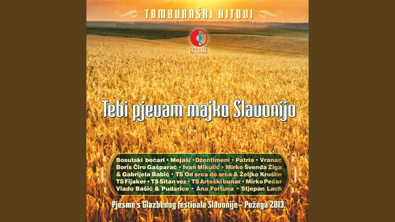 Vraćam Ti Se Slavonijo