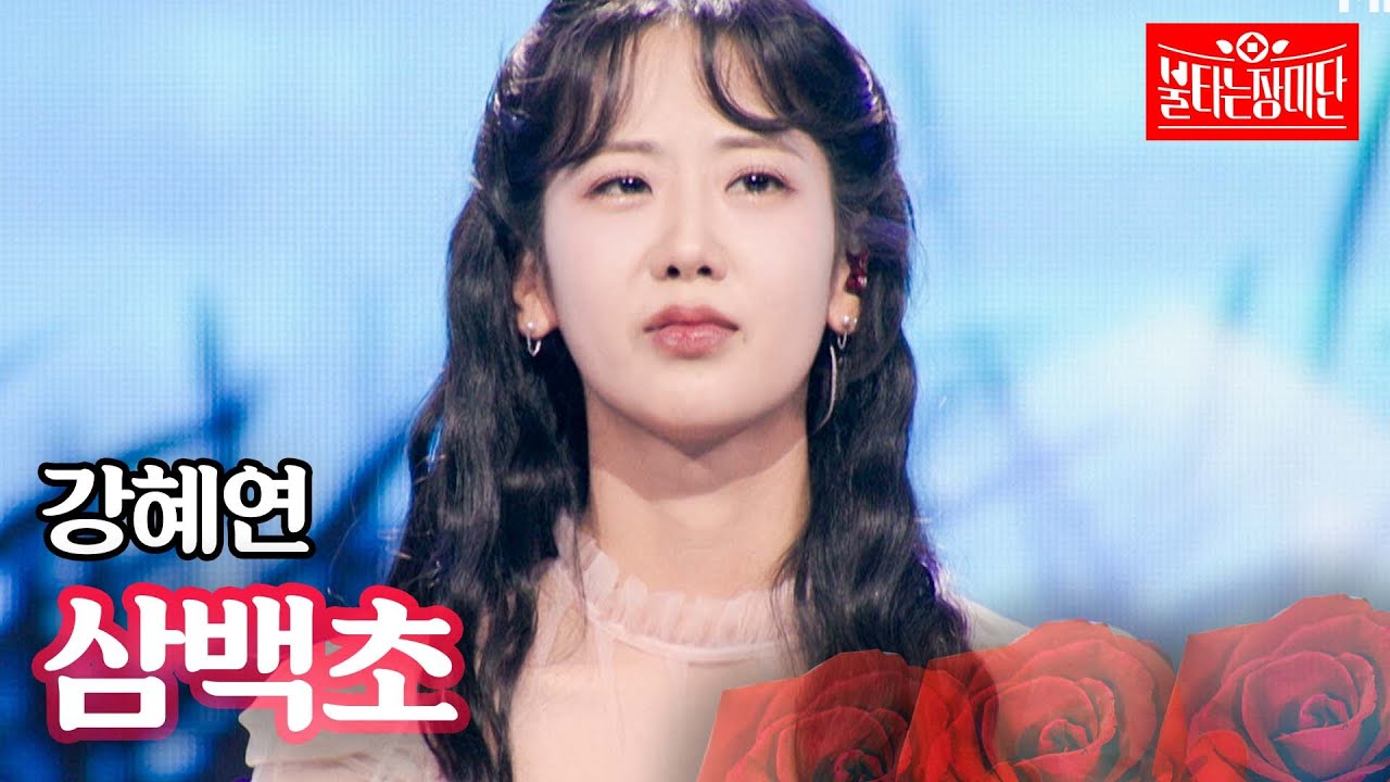 강혜연 - 삼백초｜불타는 장미단 67회