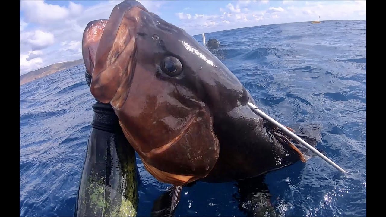 Ο 👑ΒΑΣΙΛΙΑΣ👑του ΝΑΥΑΓΙΟΥ---GREECE SPEARFISHING---