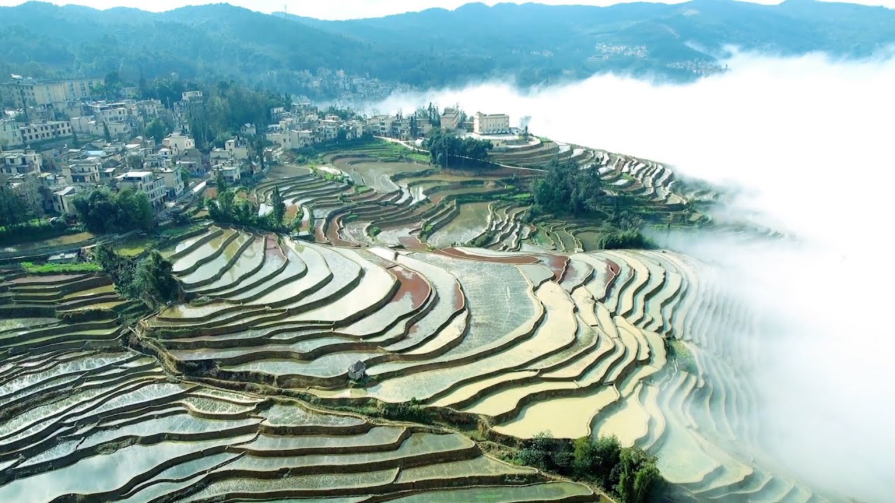 World Cultural Heritage Yuanyang Hani Rice Terraces - Earth Art Carved for Thousands of Years