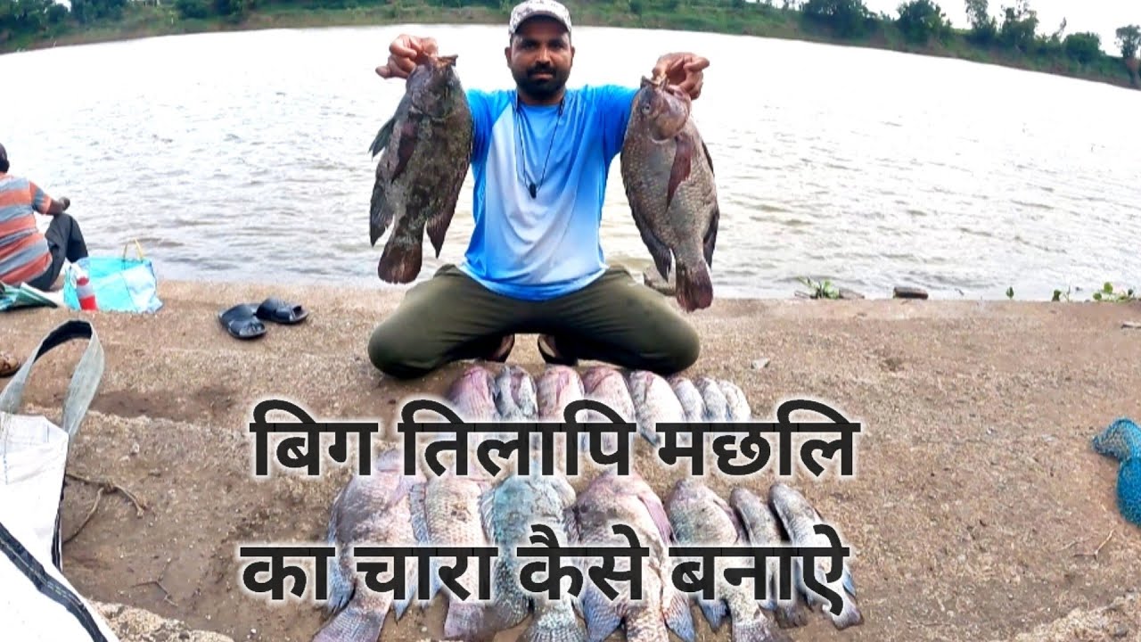एक बार जरुर बनाके खेलना !Jambo Tilapia Ka Chara तिलापि मछलि का चारा! Fishing Bait💯Results