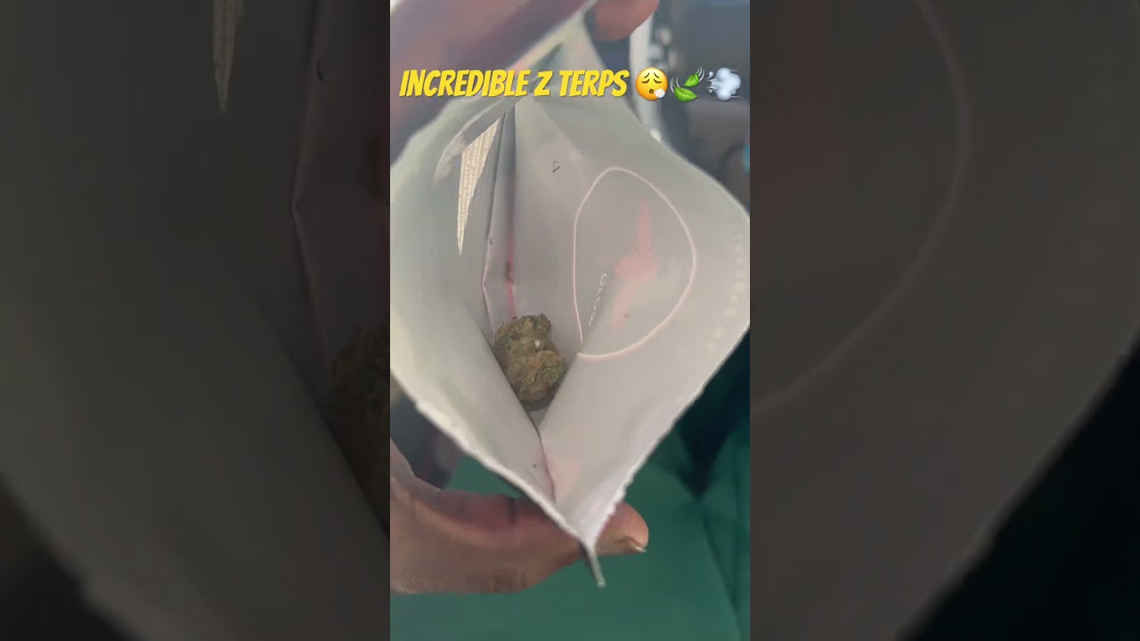 Perfect Z Terps 😮&zwj;💨💨🍃 #shortvideo #shorts #shortsviral