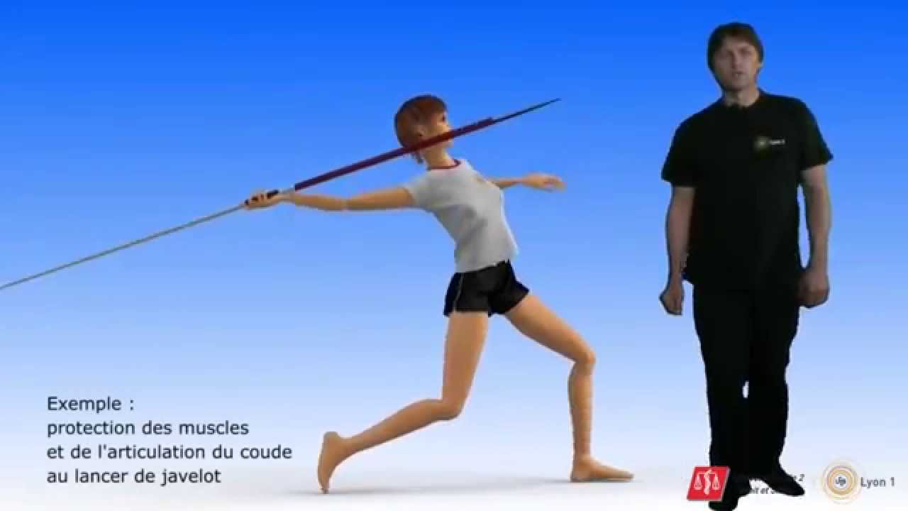 Réflexe myotatique (vidéo sonorisée)