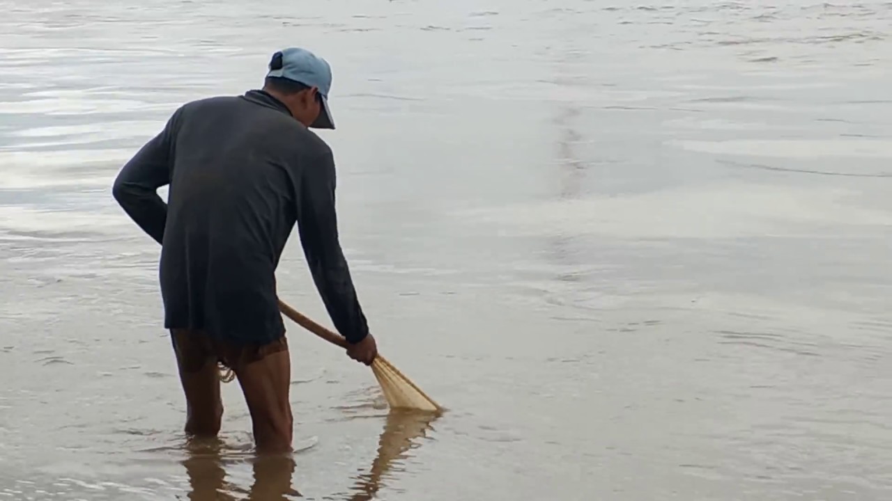 Amazing Net Fishing - Cambodia Traditional Fishing - Cast Net in the river Fishing by Fisherman