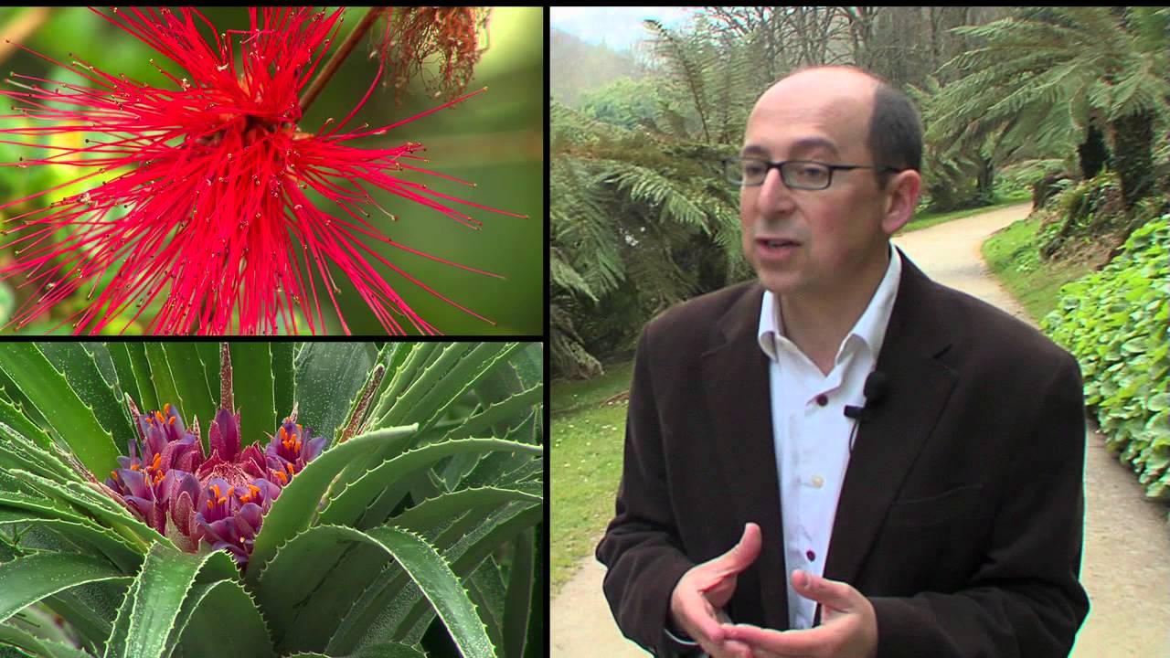 Le Conservatoire National de Botanique de Brest - UNICEM/CRBCEC