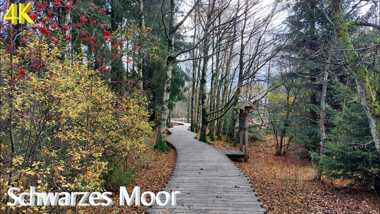 Schwarzes Moor
