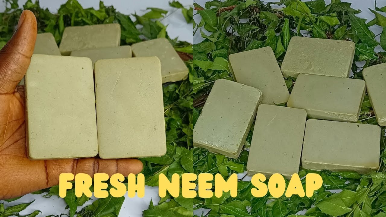 Fresh Neem Bathing Bar Soap #soapmaking #barsoap #herbalsoap