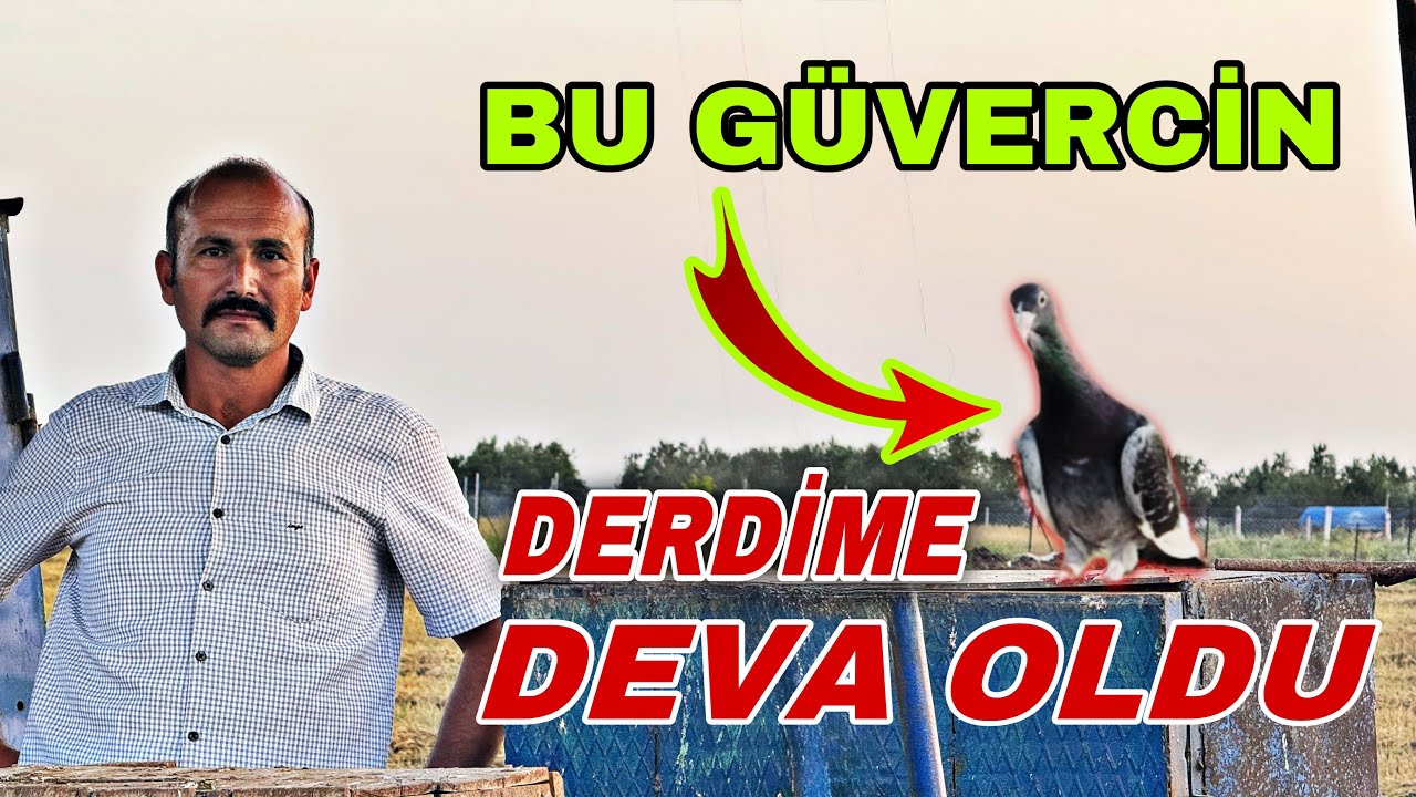 KANSER HASTALIĞINI ADANA GÜVERCİNLERİ SAYESİNDE YENDİ !!! HALİL İBRAHİM