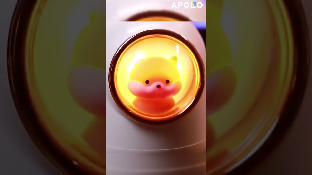 Cute Animal Featured Humidifier  #apollobox #homedecor #cuteanimals  #stayhydrated #fallcollection