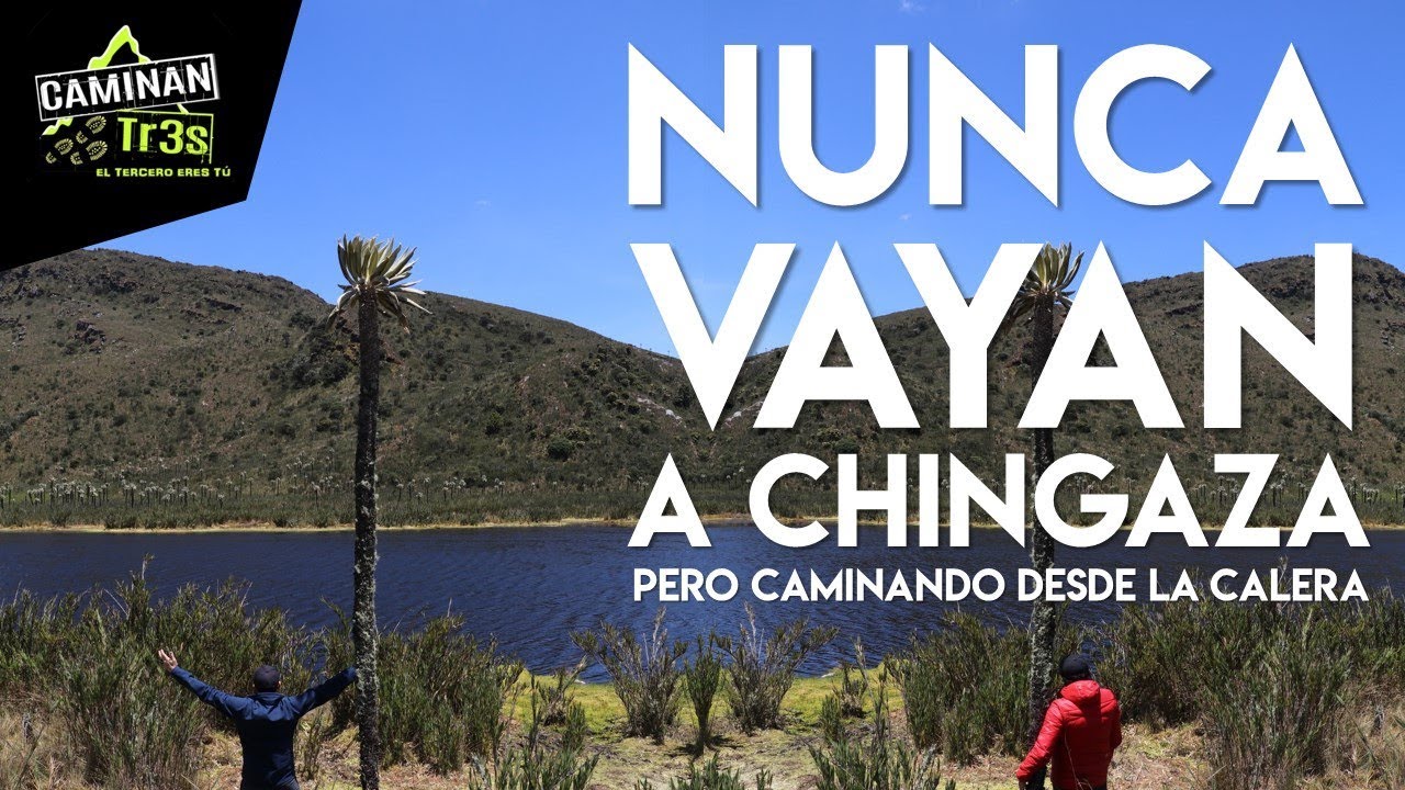 ¡¡¡NUNCA!!! VAYAN A CHINGAZA... caminando!