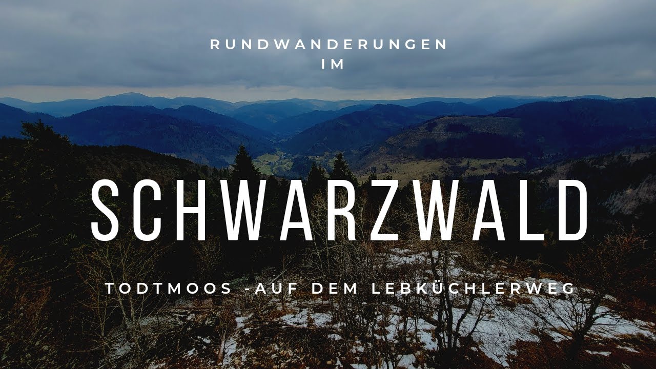 Schwarzwald: Todtmoos - Rundwanderung auf dem Lebküchlerweg | 4k