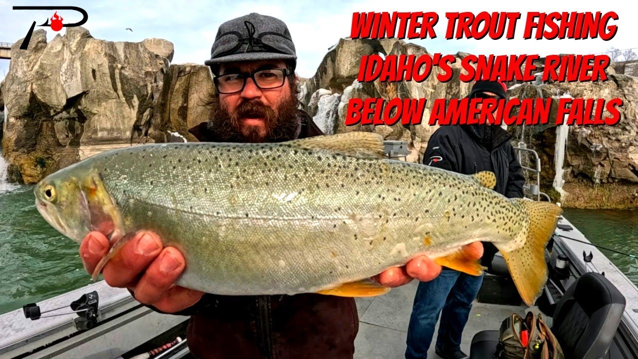 Winter Trout Fishing On The Snake River below American Falls