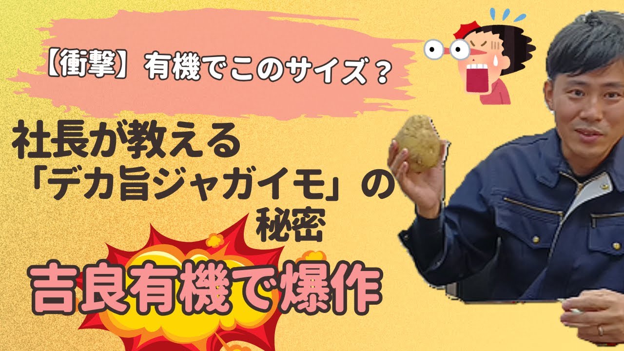 【衝撃】有機でこのサイズ？吉良商店社長が教える「デカ旨ジャガイモ」の秘密