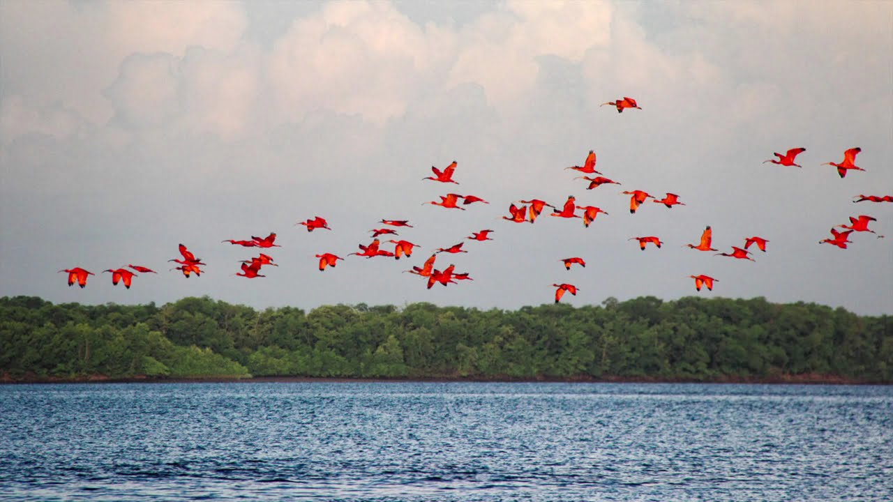LUGARES FANTÁSTICOS-DELTA DO PARNAIBA-PI - MARAVILHA DA NATUREZA. @LUGARESFANTÁSTICOSPEM