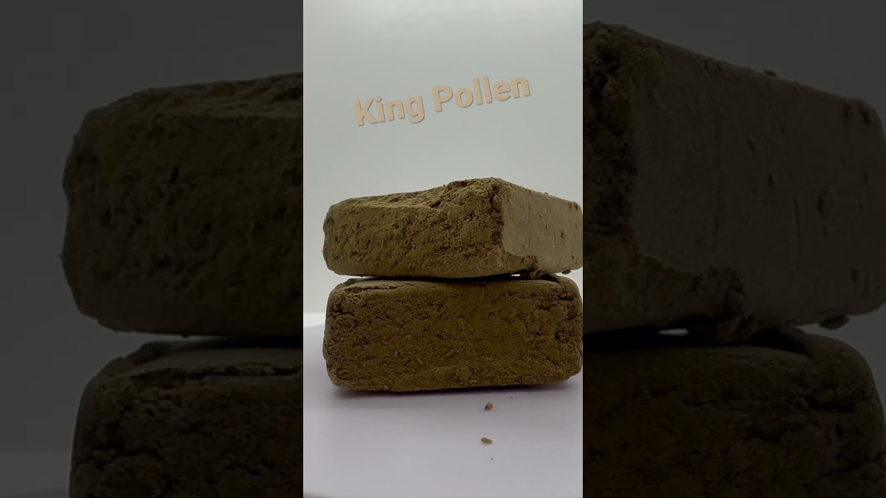 King pollen maintenant dispo sur le shop LH CBD