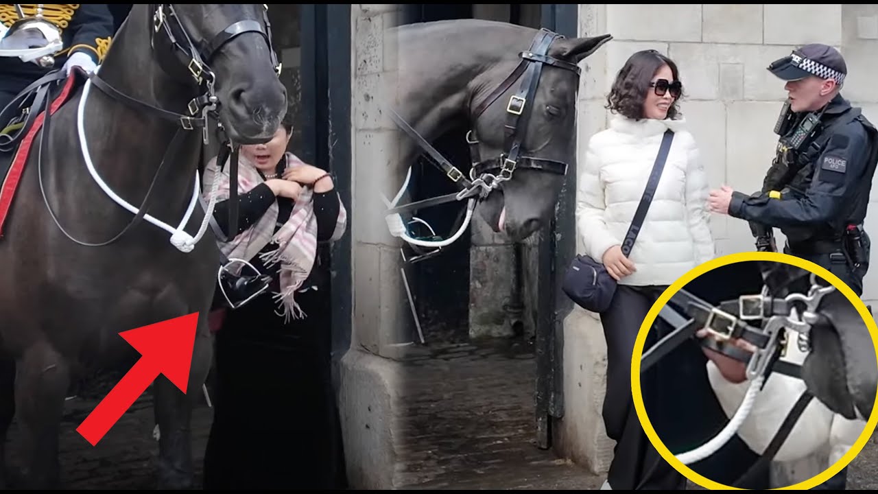 This HAPPENS When You DISRESPECT and IGNORE the King’s Guard. 🚫⛔️