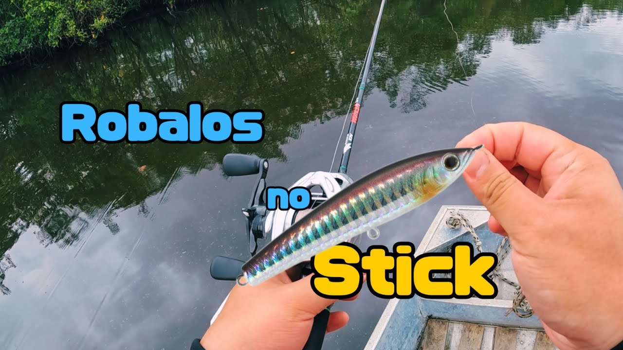 Robalos 100% no Stick! Pescaria apenas com isca de superfície!
