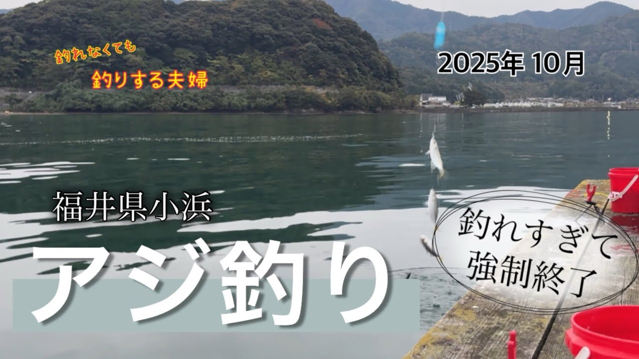 【アジ】秋のアジ釣りは良型爆釣でした