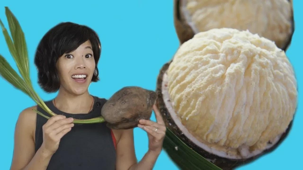 Comment ouvrir une noix de coco germée et goûter sa mousse comestible | Fruity Fruits