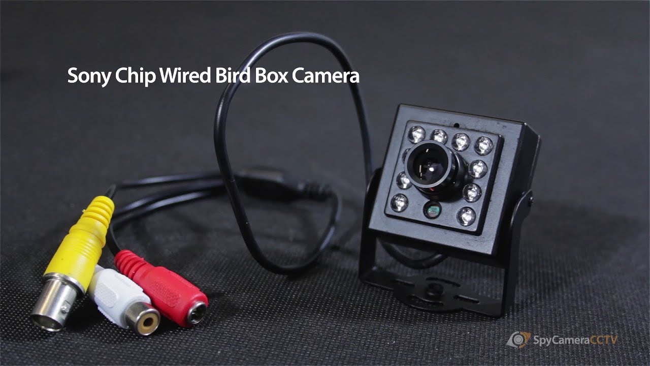 Wired Bird Box Camera Kit with Night Vision