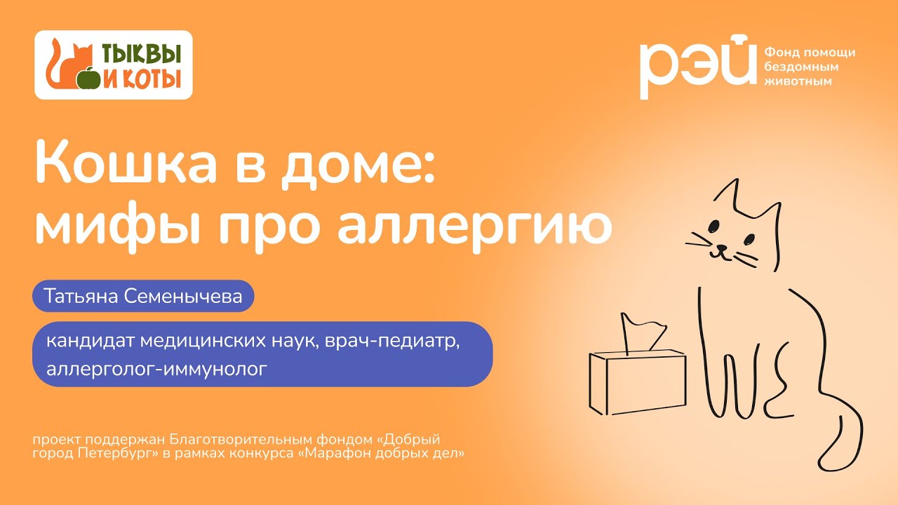 Кошка в доме: мифы про аллергию