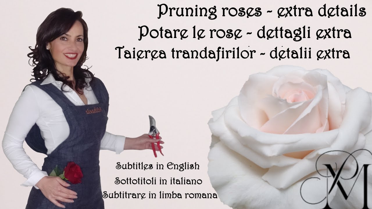 Potatura estiva - dettagli extra -  potare rose a mazzetto, identificare foglie, foglioline e gemme