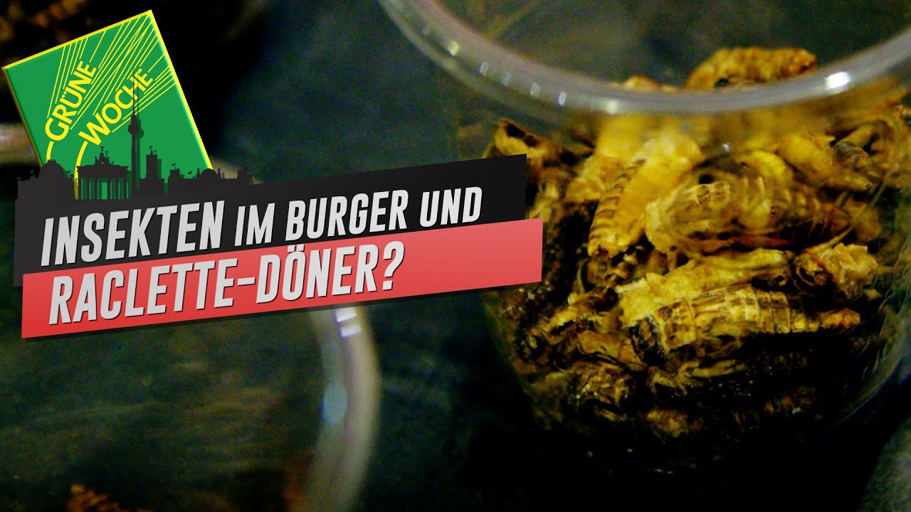 Grüne Woche 2025 in Berlin: Überraschendes Essen aus aller Welt