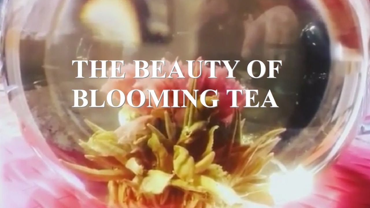 The Beauty Of Blooming Tea 🌸 Teabloom