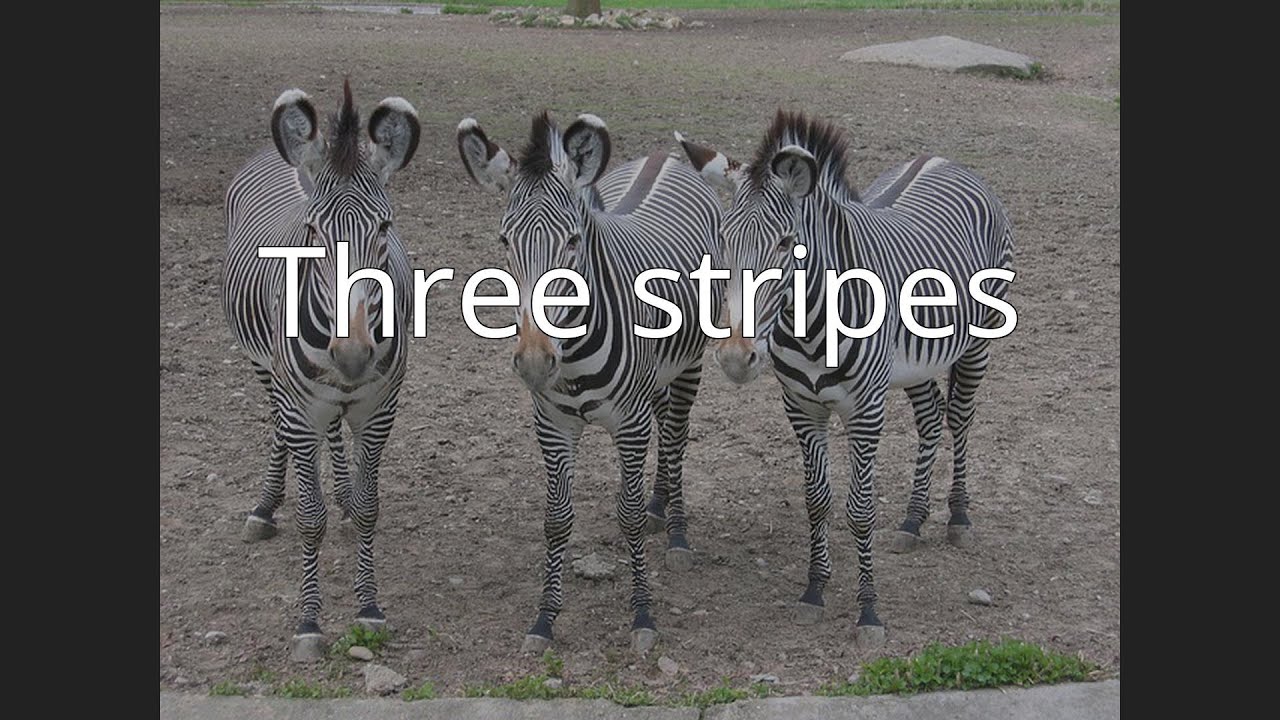Three stripes