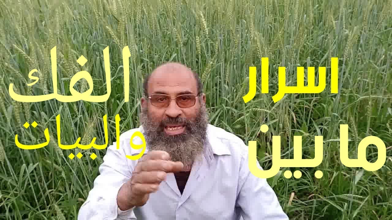 #اسرار 🔎 الميات💦  ما بين البيات والفك