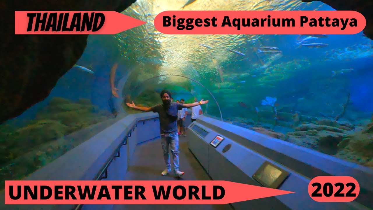 Underwater World Pattaya 2022 | Biggest Aquarium Pattaya | Thailand || NAGI VLOGS ||