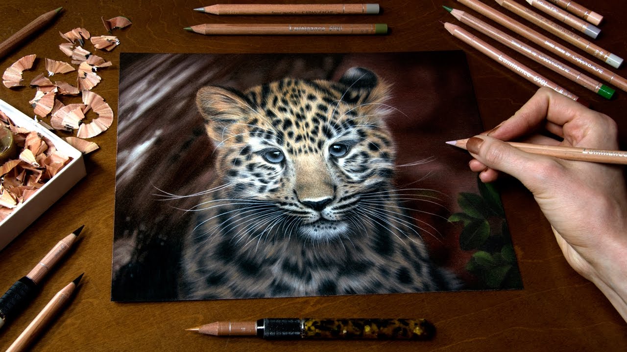 Drawing a Little Leopard - Kanika