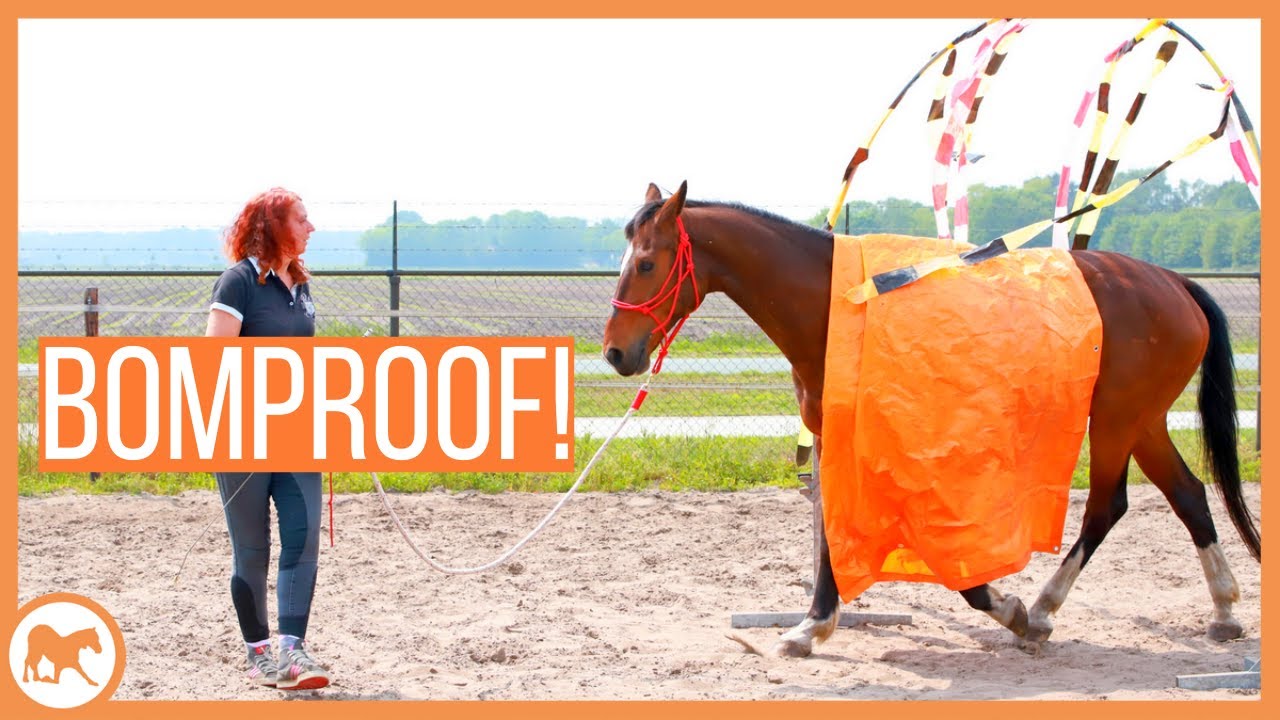 Hoe maak je jouw paard bomproof?