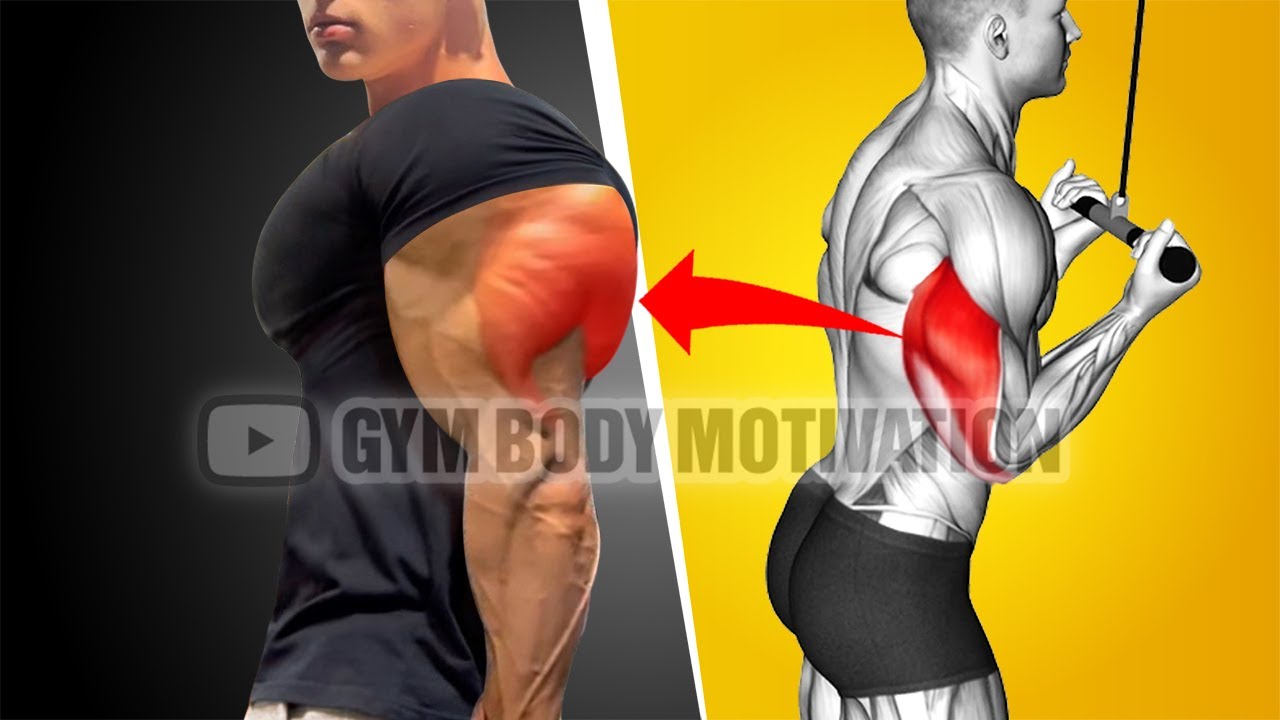 8 Best Tricep Exercises for Bigger Arms - Gym Body Motivation