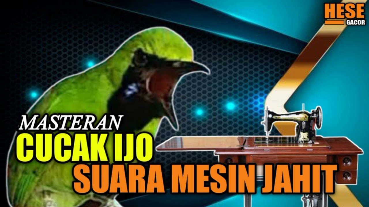 MASTERAN CUCAK IJO SUARA MESIN JAHIT