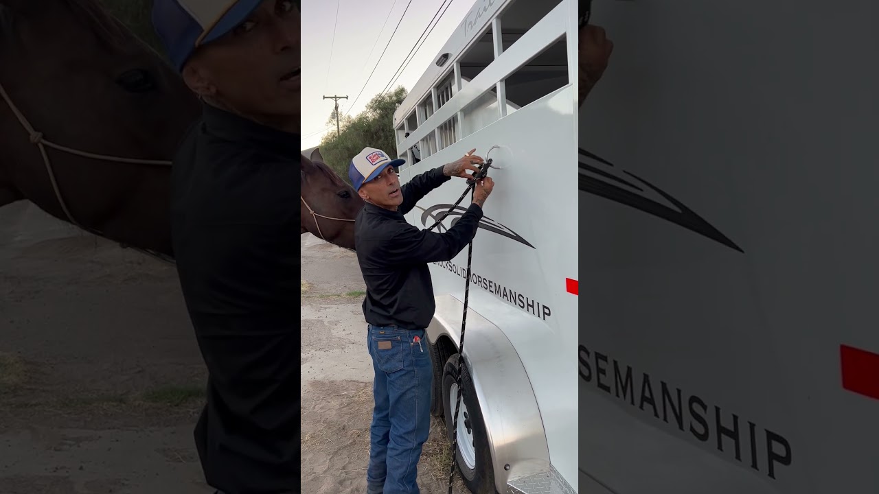 How to tie your horse up