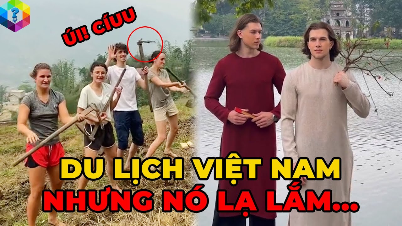 12 Cú Lừa Tây Đỡ Không Nổi Khi Đến Việt Nam – Có Hiểu Nhưng Không Đáng Kể [Top 1 Khám Phá]