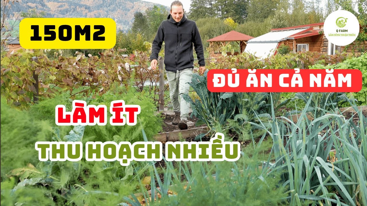 Không Cày Đất Vẫn Năng Suất Cao? Bí Quyết Vườn Rau Sinh Thái