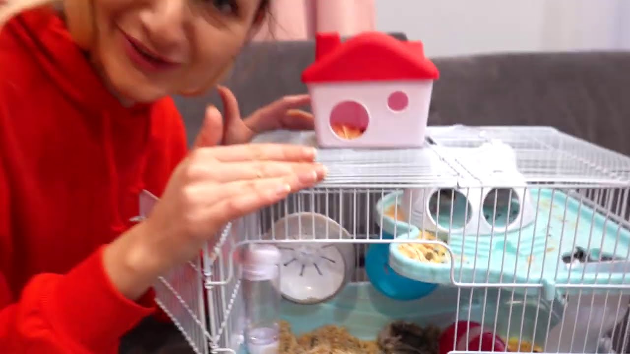 Inca 2 hamsteri in familie?!