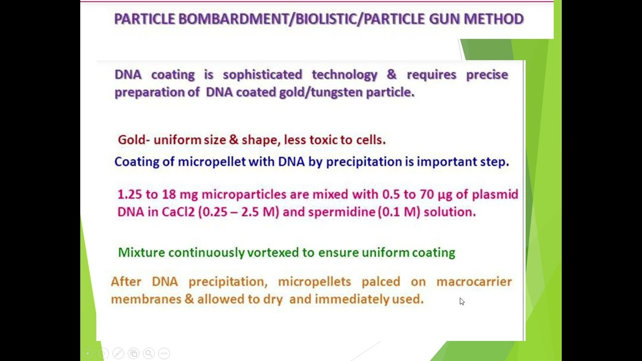 PowerPoint Slide Show   Transgenic Plants Compatibility Mode 2025 12 25 00 04 50