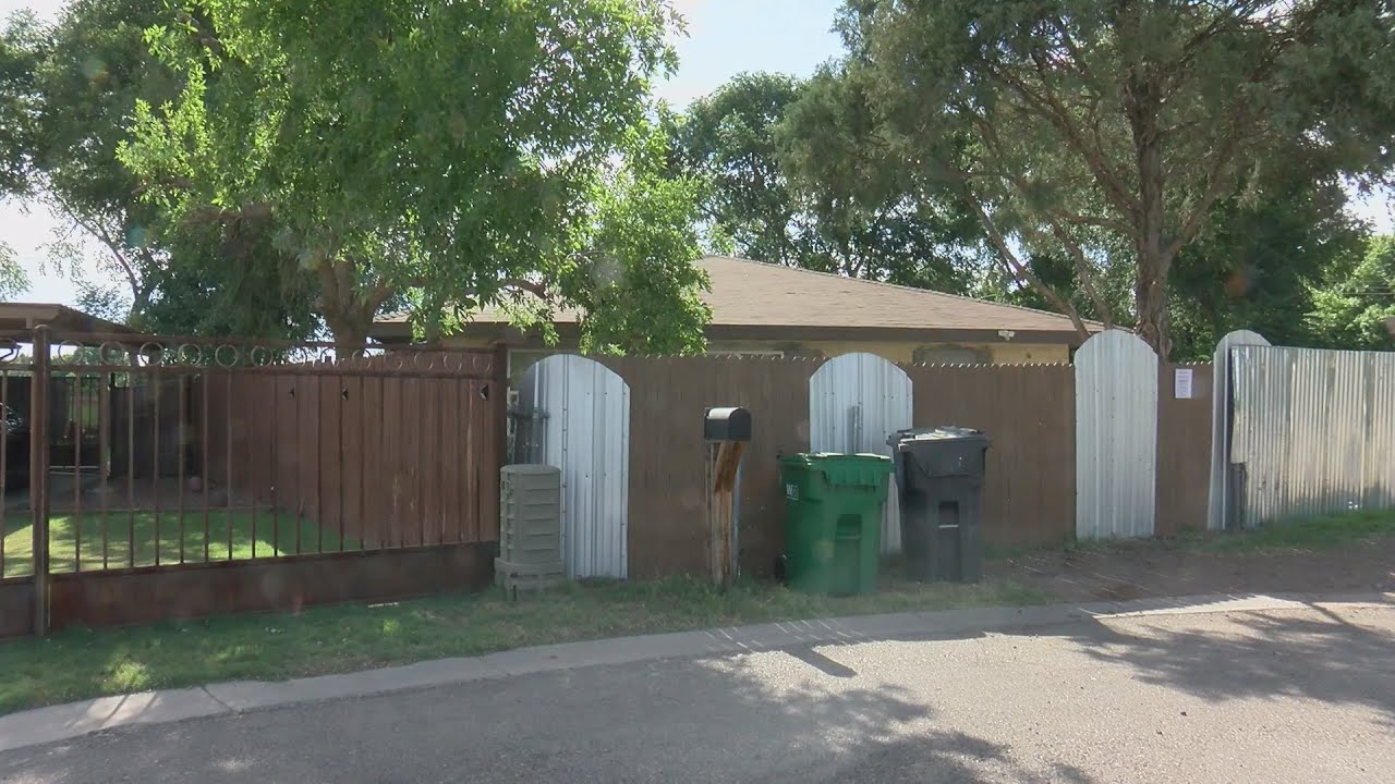 50 pitbulls, elderly woman rescued from South Valley house