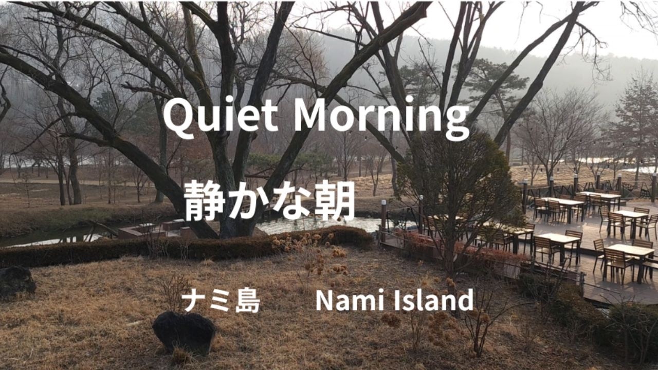 “Morning Calm | Piano & Nature Sounds”     「静かな朝、自然の音とピアノ」