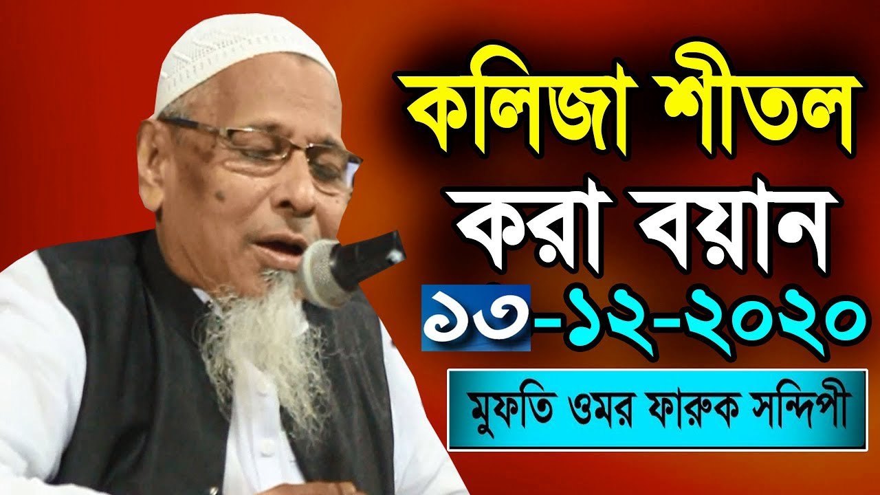 অনেক  ওয়াজ শুনেছেন এ ওয়াজটি একবার শুনুন,মুফতি ওমর ফারুক সন্দিপী Mufti Omar Faruk Sondipi Bangla waz