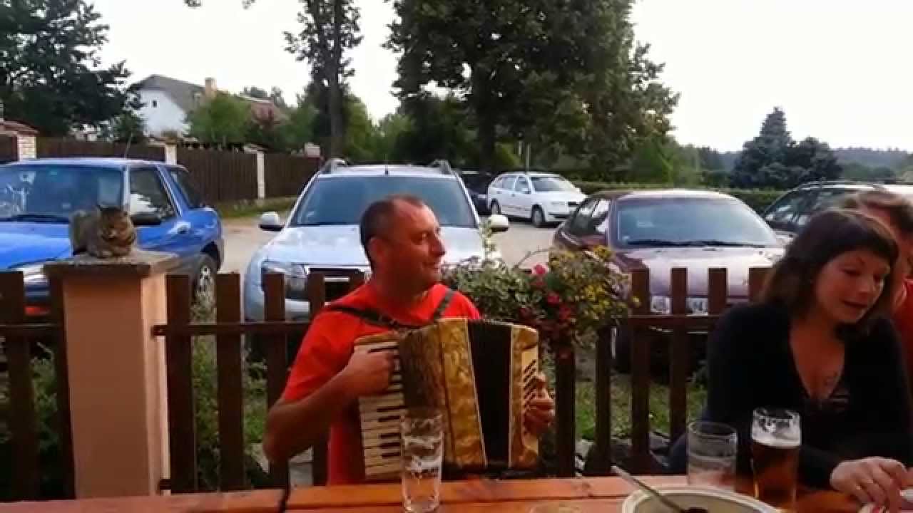 &Scaron;kola harmoniky Chotěmice - V&aacute;clav Koubek 2013