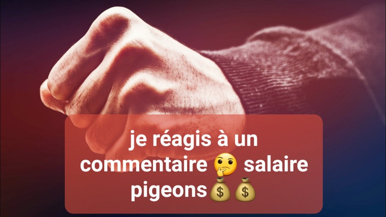 Je réagis à un commentaire 🤔 : commercial terrain,pigeon ,salaire $$