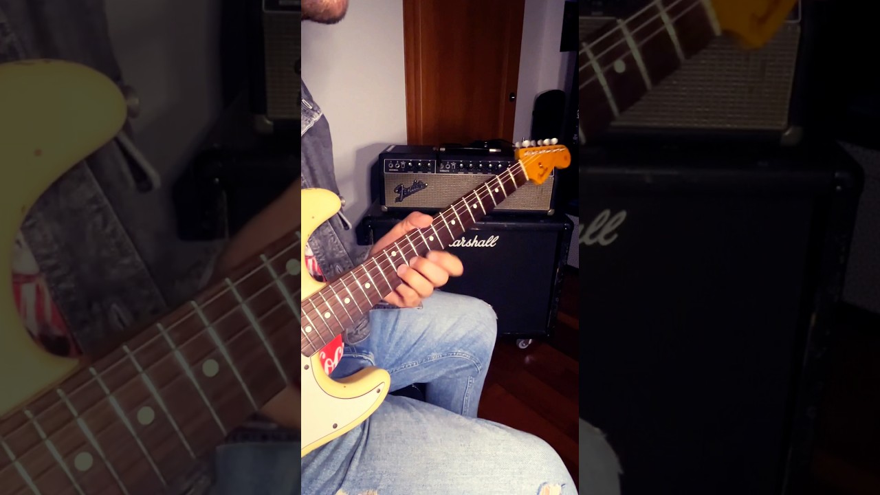 Tribute to Stevie Ray Vaughan – The Sky Is Crying (Stratocaster ’63 + Dual Showman ’66)