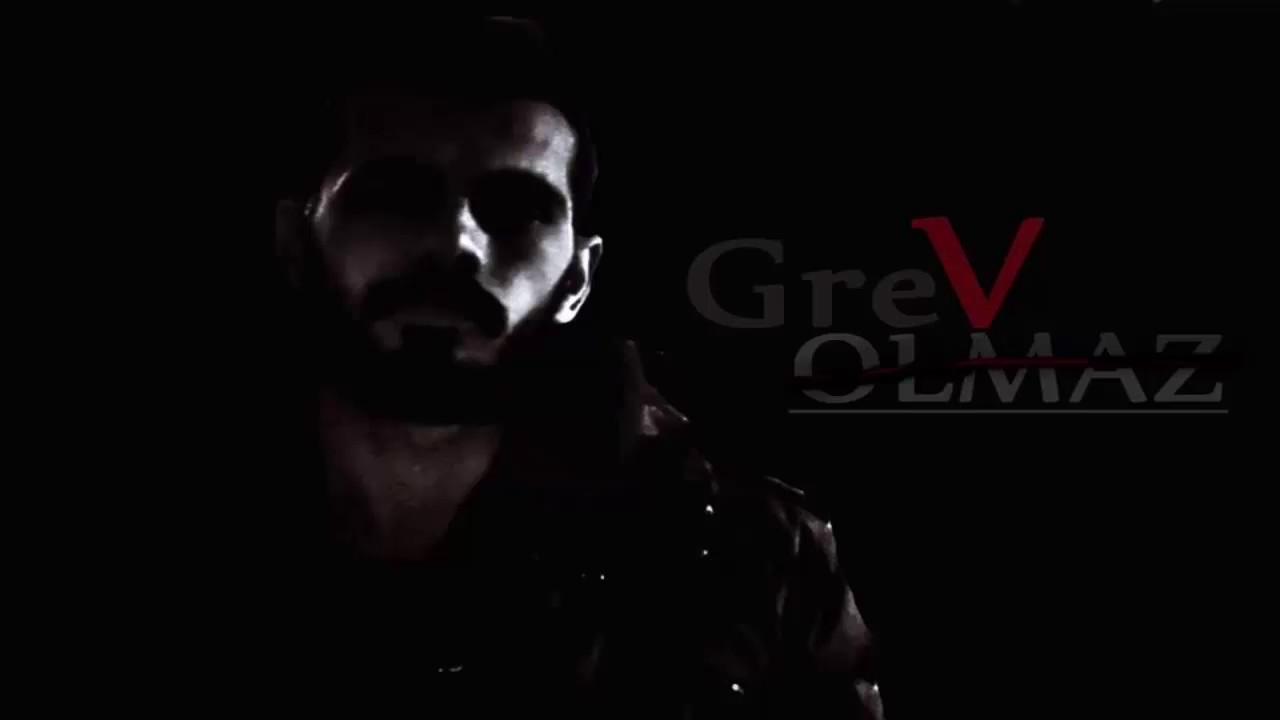 Grev-Olmaz(2016)