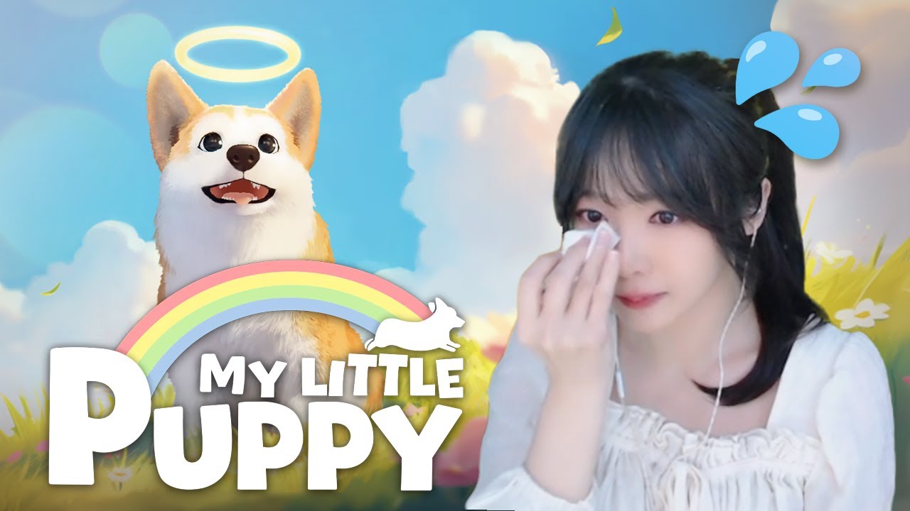 (눈물주의) 웰시코기를 주인에게 데려다 주는 게임 🐶 마이 리틀 퍼피 My Little Puppy