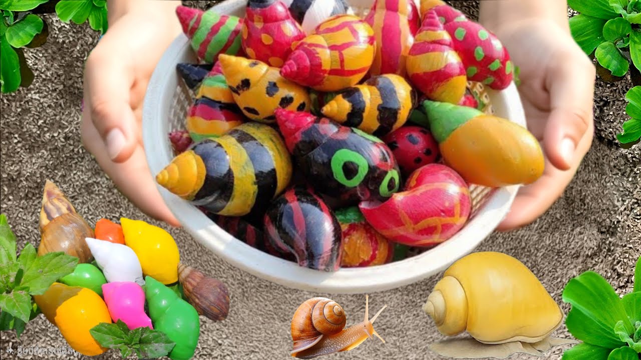 Exploring at Night: Huge Snails Everywhere! 🐌😲