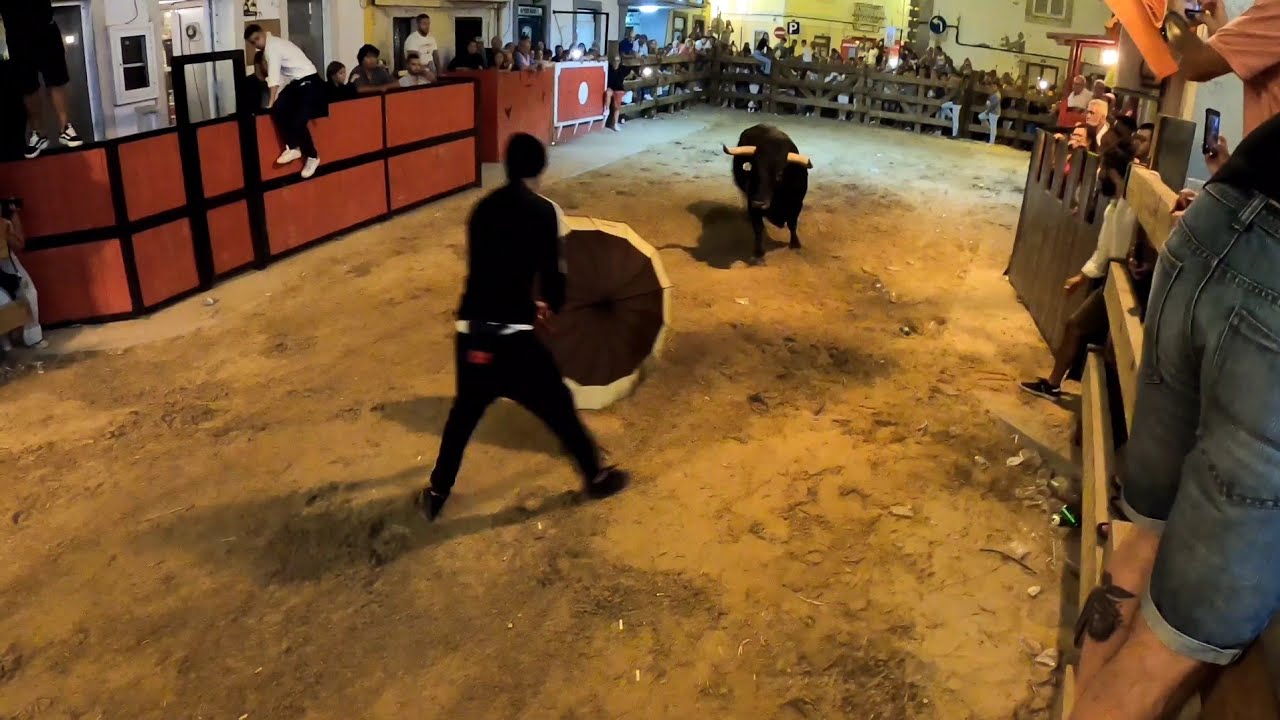 Alcochete largadas 2023
